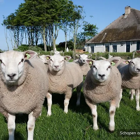 Ferienpark De Krim Texel De Cocksdorp (Texel)
