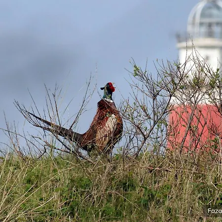 Parco vacanze De Krim Texel 4*