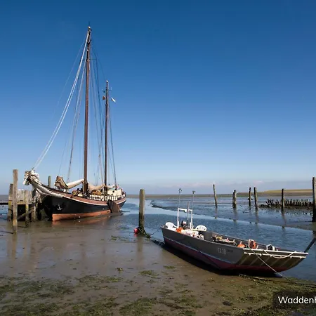 Prázdninový areál De Krim Texel 4*
