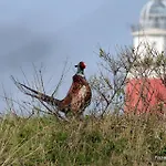 Aldeamento Turístico De Krim Texel 4*